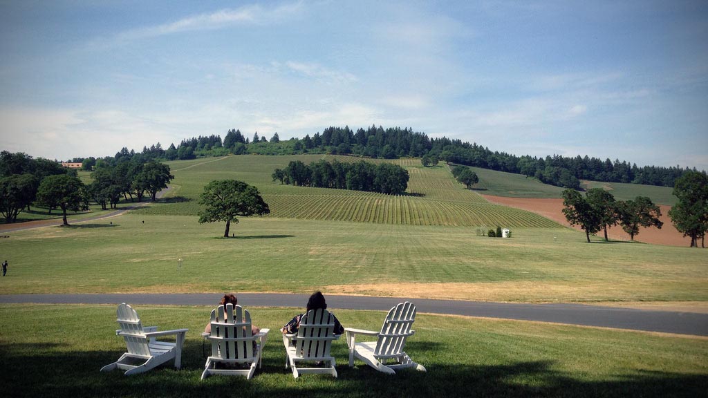 Read more about the article Willamette Valley Wine Tours